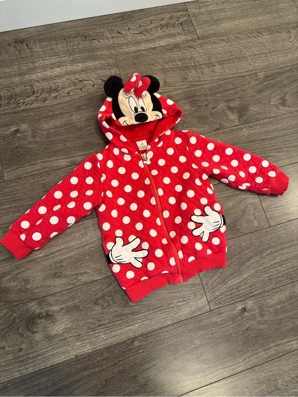 Disney Red & White Polka Dot Minnie Hoodie with Character Hood